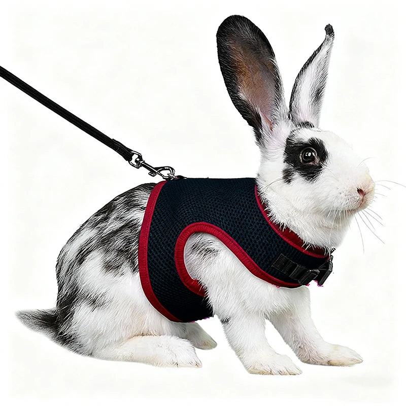Pet Harness and Leash, Breathable Mesh, Rabbit