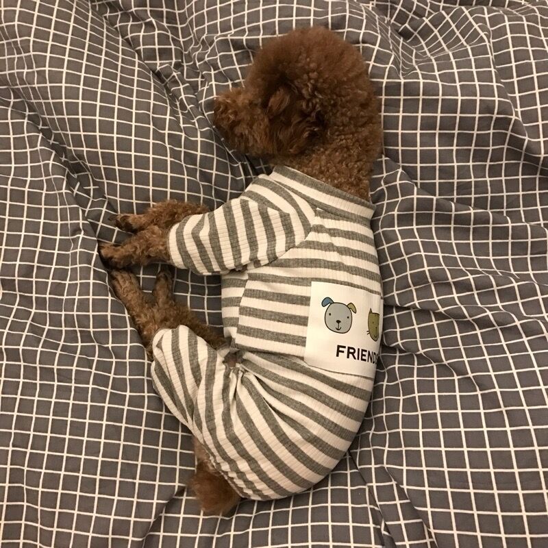 Pet Soft And Comfortable Home Clothes Pajamas