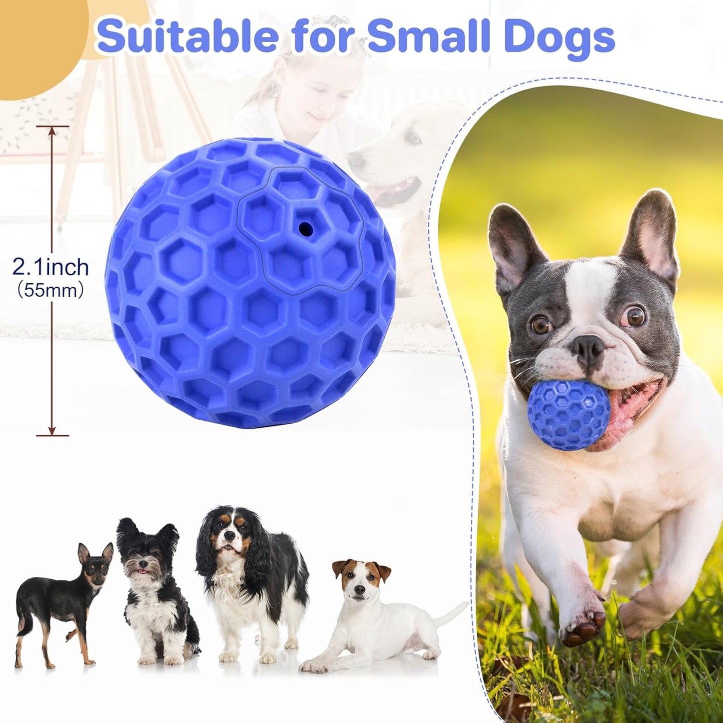 Squeaky, Interactive Dog Chew Toy