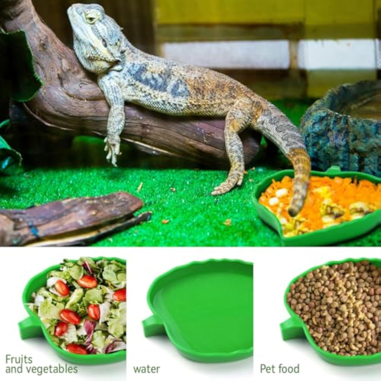 2 Pcs Leaf Reptile Food Dish and Water Bowl