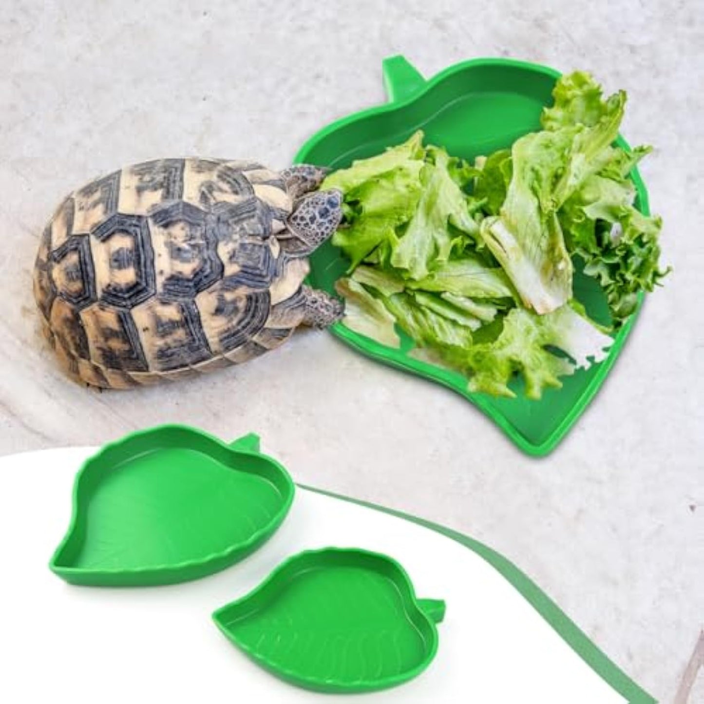 2 Pcs Leaf Reptile Food Dish and Water Bowl