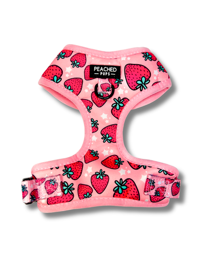 Strawberry Fields - Adjustable Dog Harness Leash Set