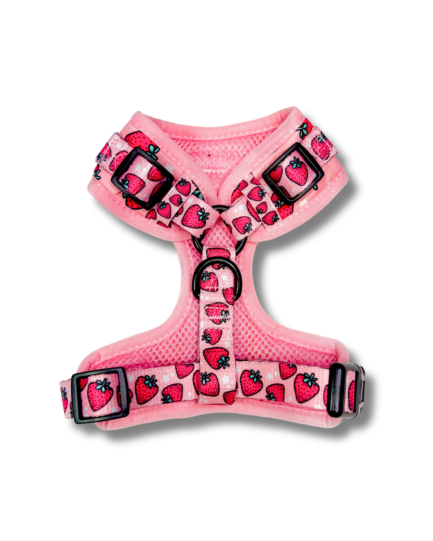 Strawberry Fields - Adjustable Dog Harness Leash Set