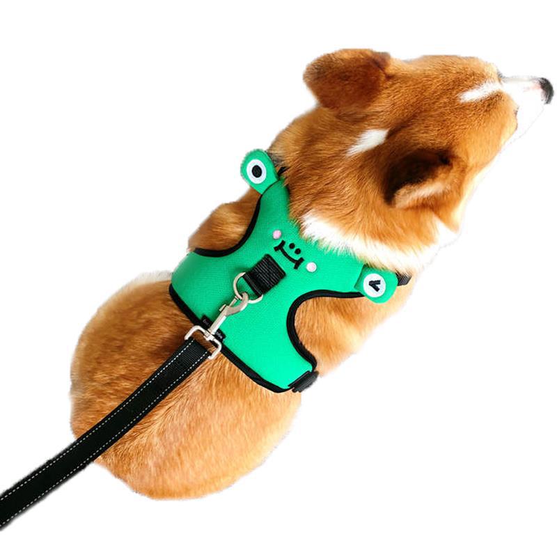 Dog's chest and back harness with traction rope.
