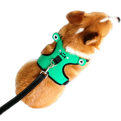 Dog's chest and back harness with traction rope.