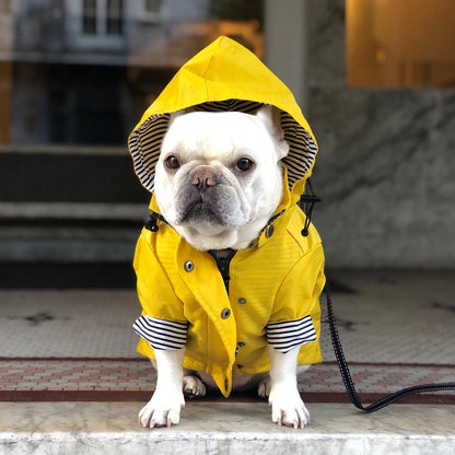 Dog Raincoat Pet Clothes