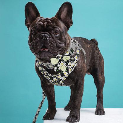 Collar/Chest Strap, Dog Walking Rope And Chain