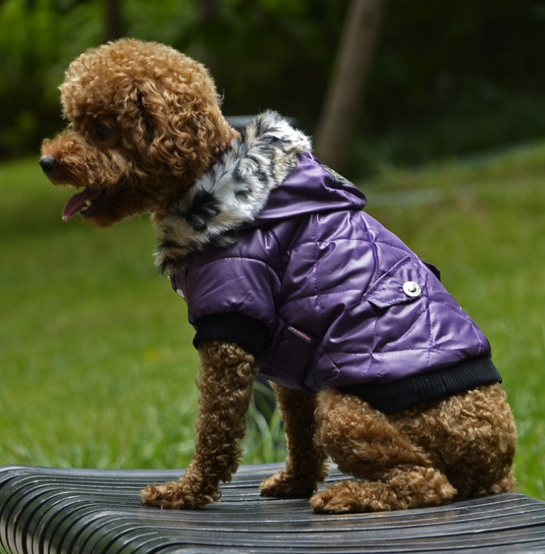 Dog Autumn and Winter Coat Fur Collar