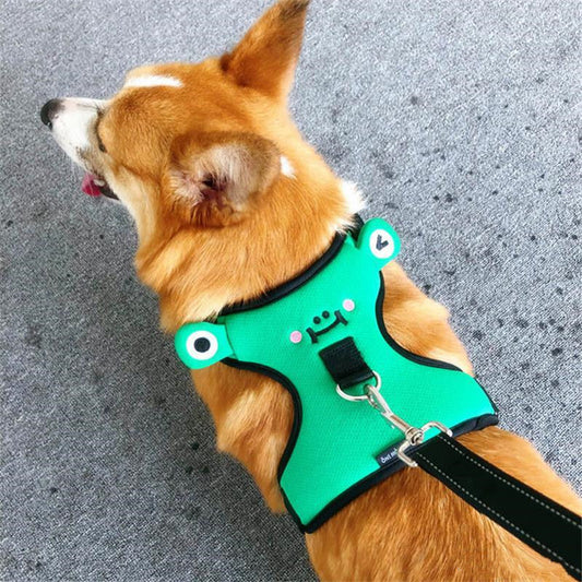 Dog's chest and back harness with traction rope.