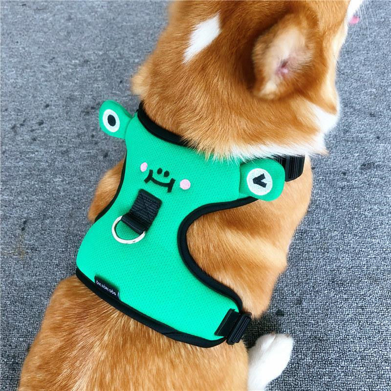 Dog's chest and back harness with traction rope.