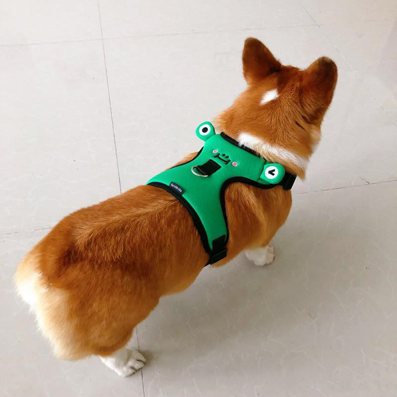 Dog's chest and back harness with traction rope.