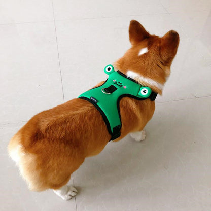 Dog's chest and back harness with traction rope.