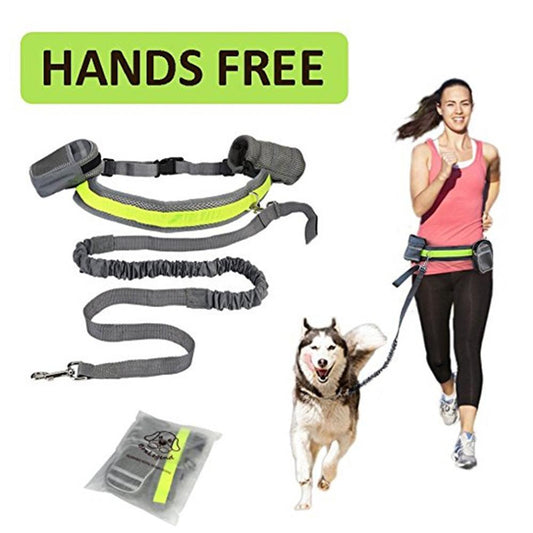 Hands Free Retractable Dog Leash for Runners with Adjustable Waist Belt