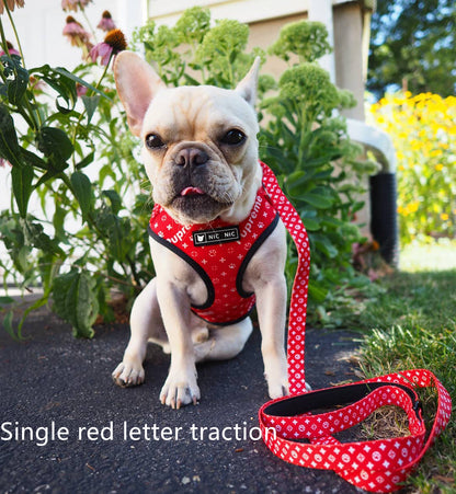 Dog Breathable Mesh Chest Harness and Leash Set