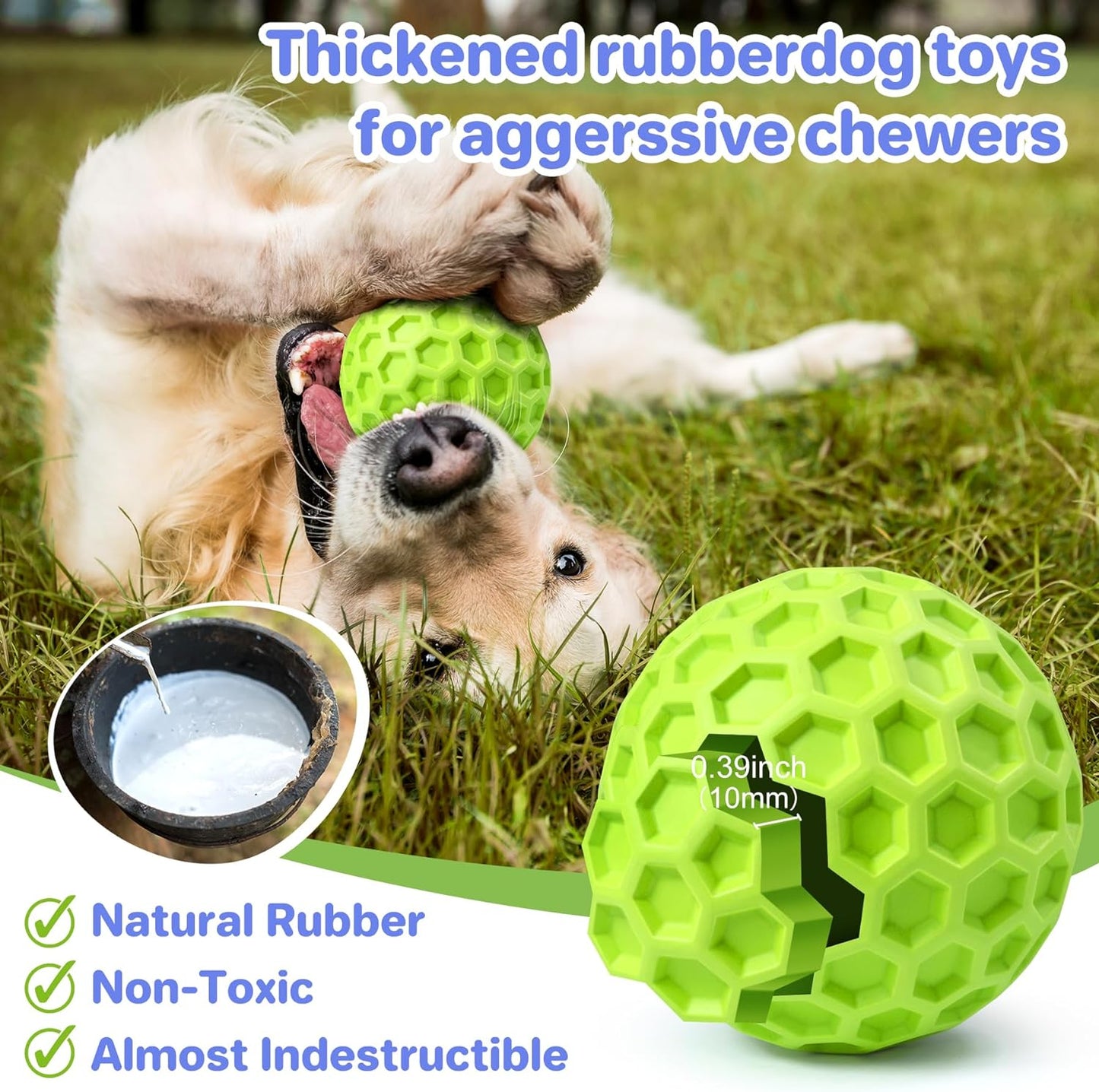 Squeaky, Interactive Dog Chew Toy