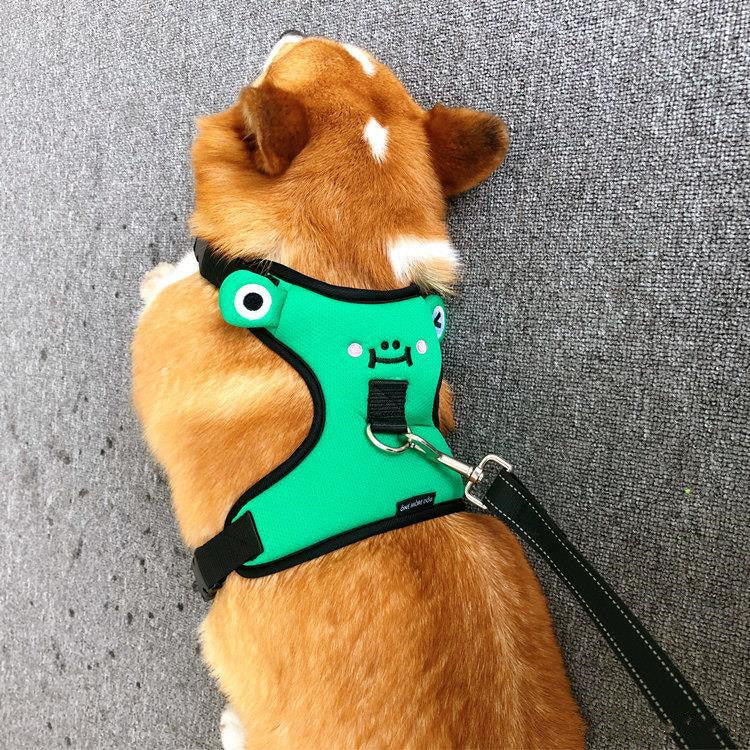 Dog's chest and back harness with traction rope.