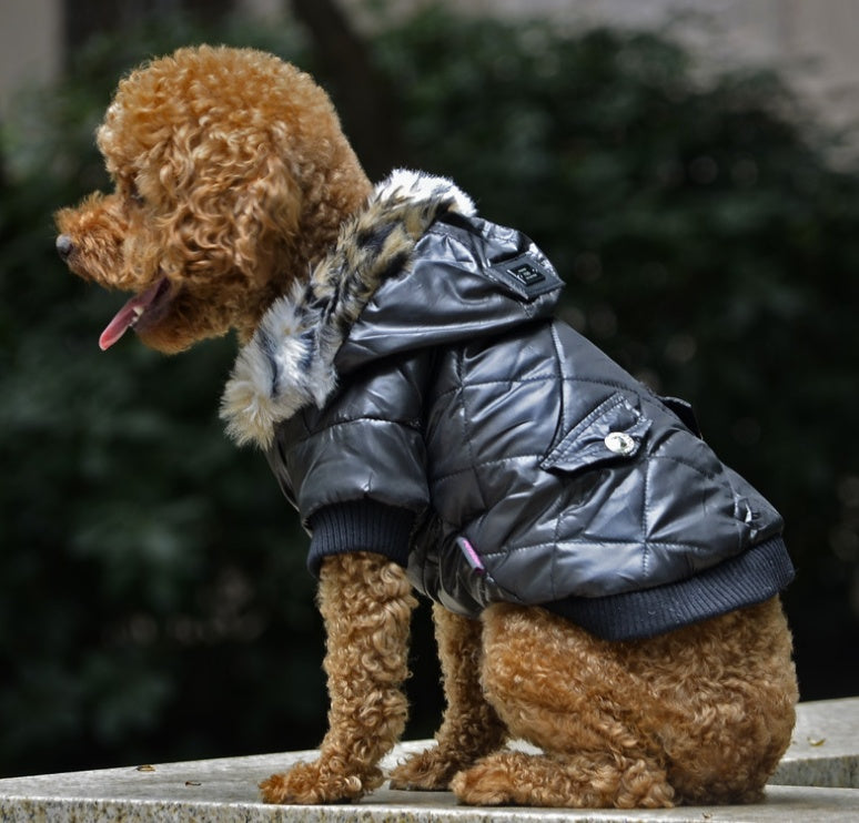 Dog Autumn and Winter Coat Fur Collar