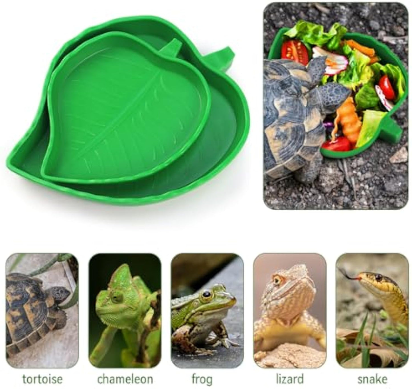2 Pcs Leaf Reptile Food Dish and Water Bowl