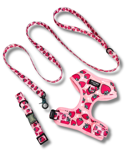 Strawberry Fields - Adjustable Dog Harness Leash Set