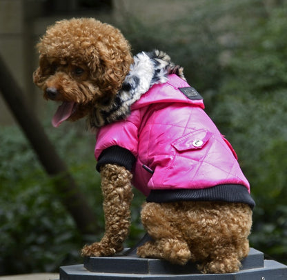Dog Autumn and Winter Coat Fur Collar