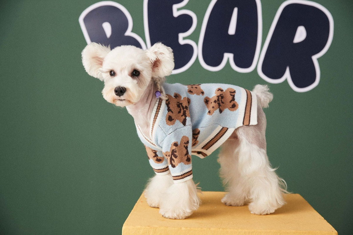Sweater Preppy Style V-neck Winter Warm Clothes For Dogs Cats