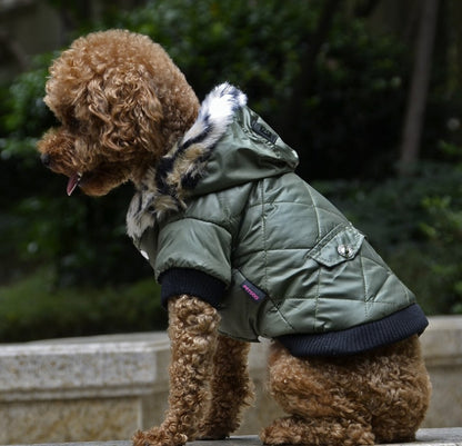 Dog Autumn and Winter Coat Fur Collar