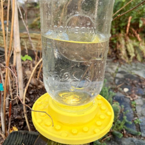 Hummingbird and Bee Feeder