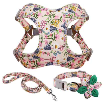 Collar/Chest Strap, Dog Walking Rope And Chain