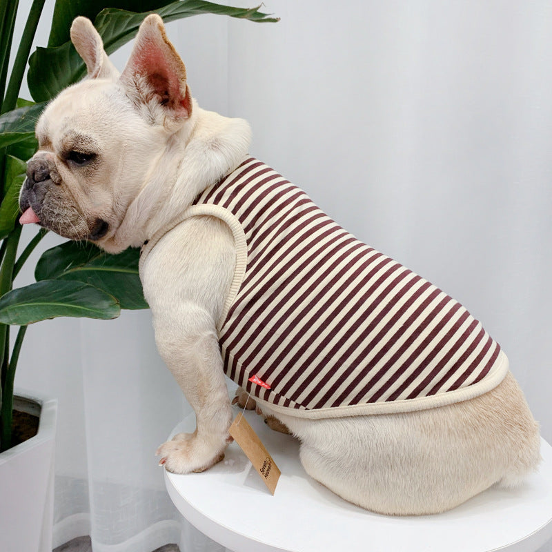 Fashionable Dog Summer Clothes