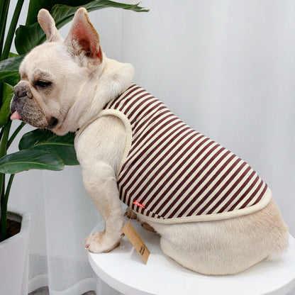 Fashionable Dog Summer Clothes