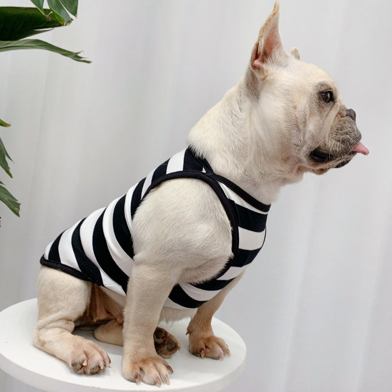 Fashionable Dog Summer Clothes