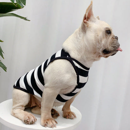 Fashionable Dog Summer Clothes