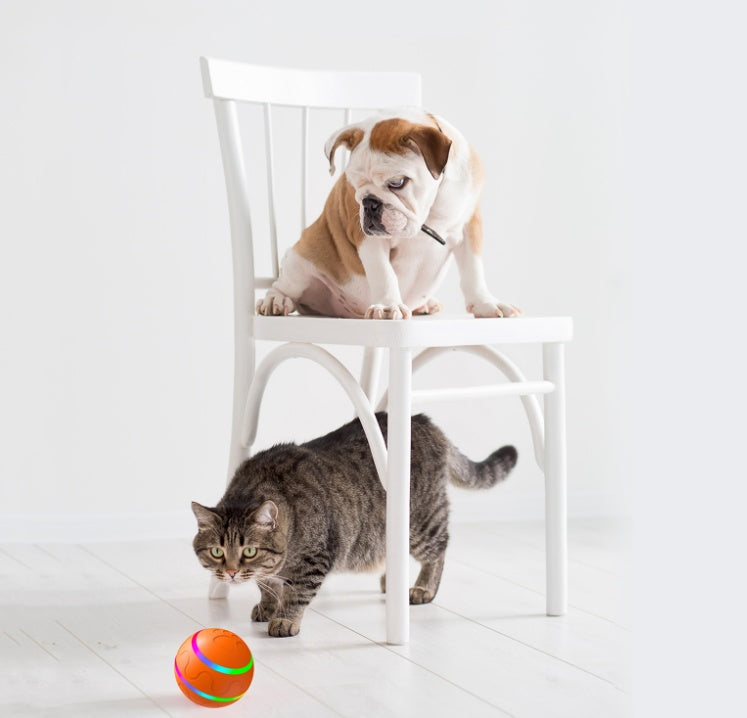 Cat Ball Toy Self Rotating, Intelligent USB