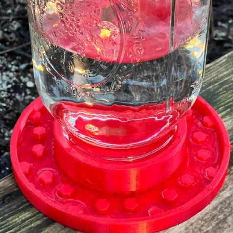 Hummingbird and Bee Feeder