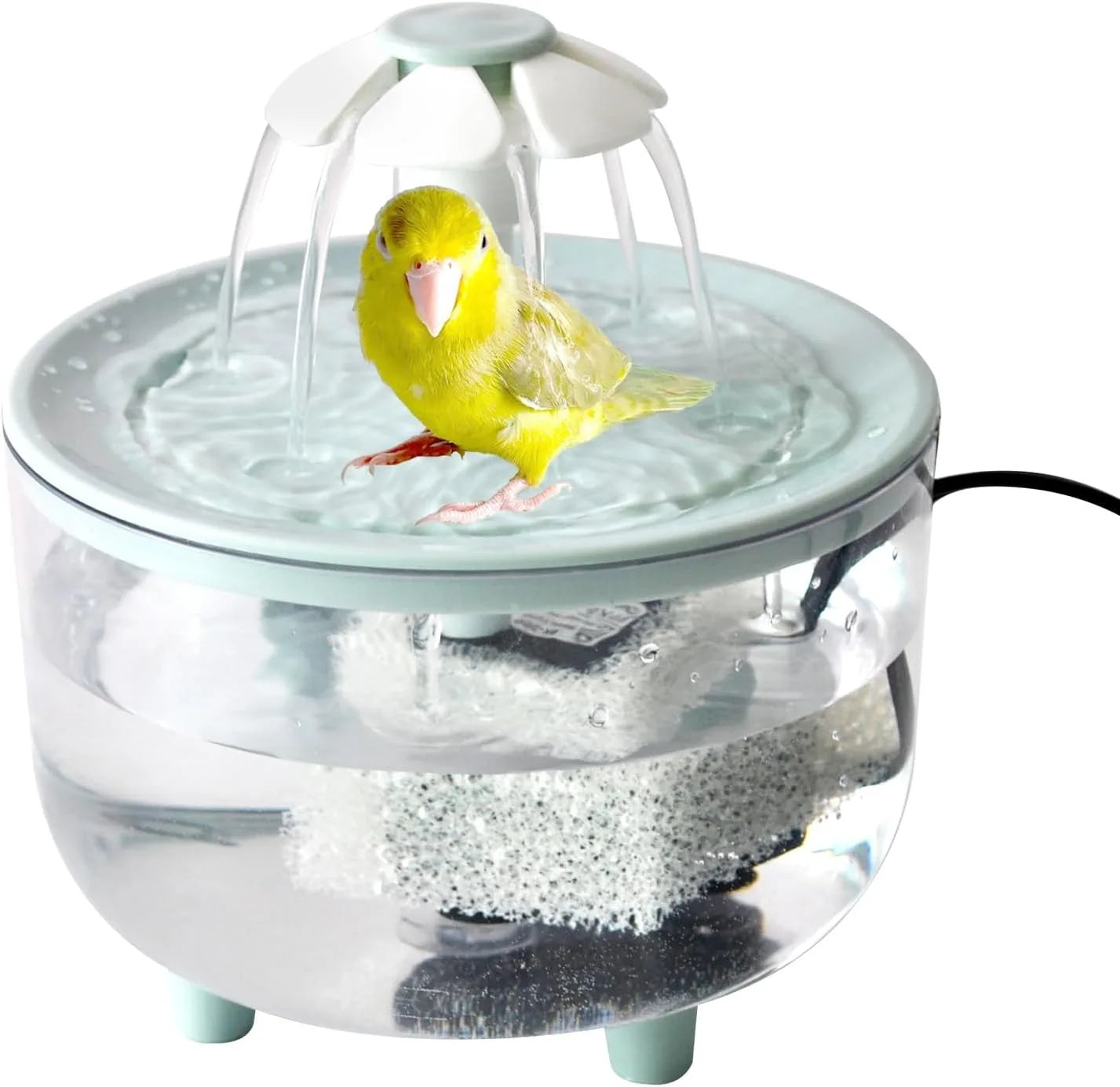 Indoor Bird Bath Fountain with Filter Pump