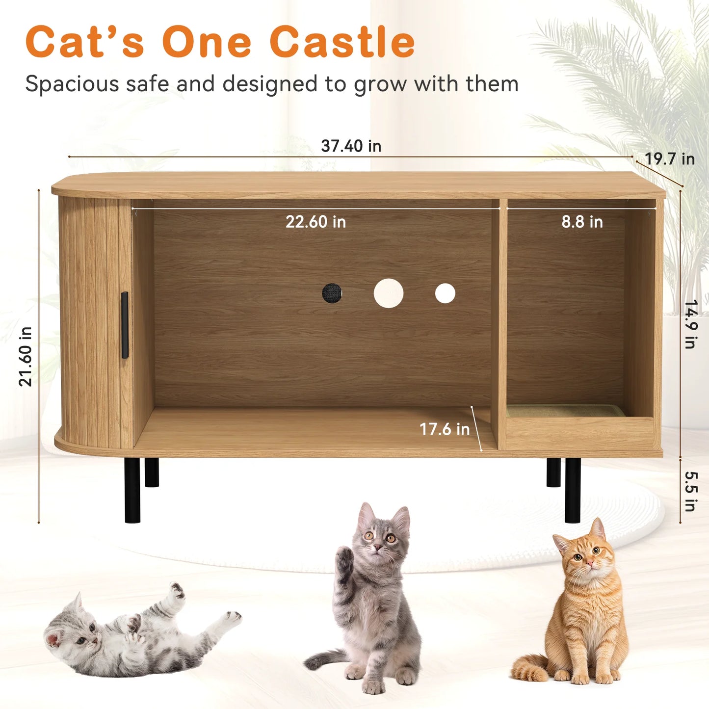 Cat Wooden Furniture, Sliding door, Litter Box, Bed, Supplies