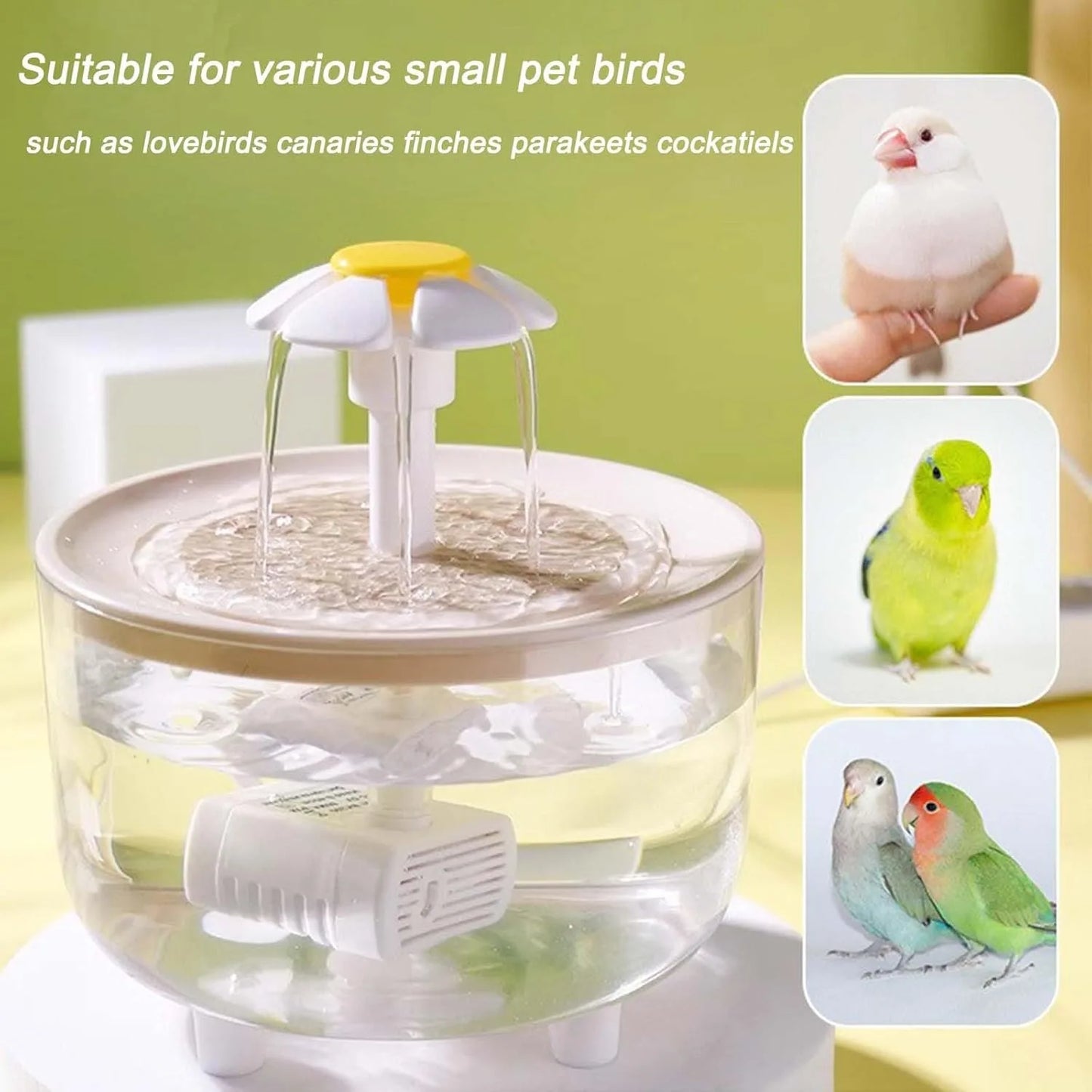 Indoor Bird Bath Fountain with Filter Pump