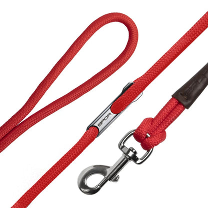 Dog Leash LITE Bundle