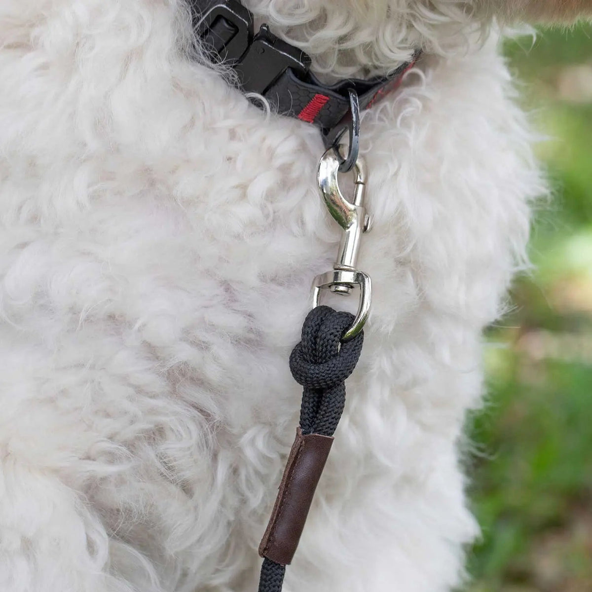 Dog Leash LITE Bundle