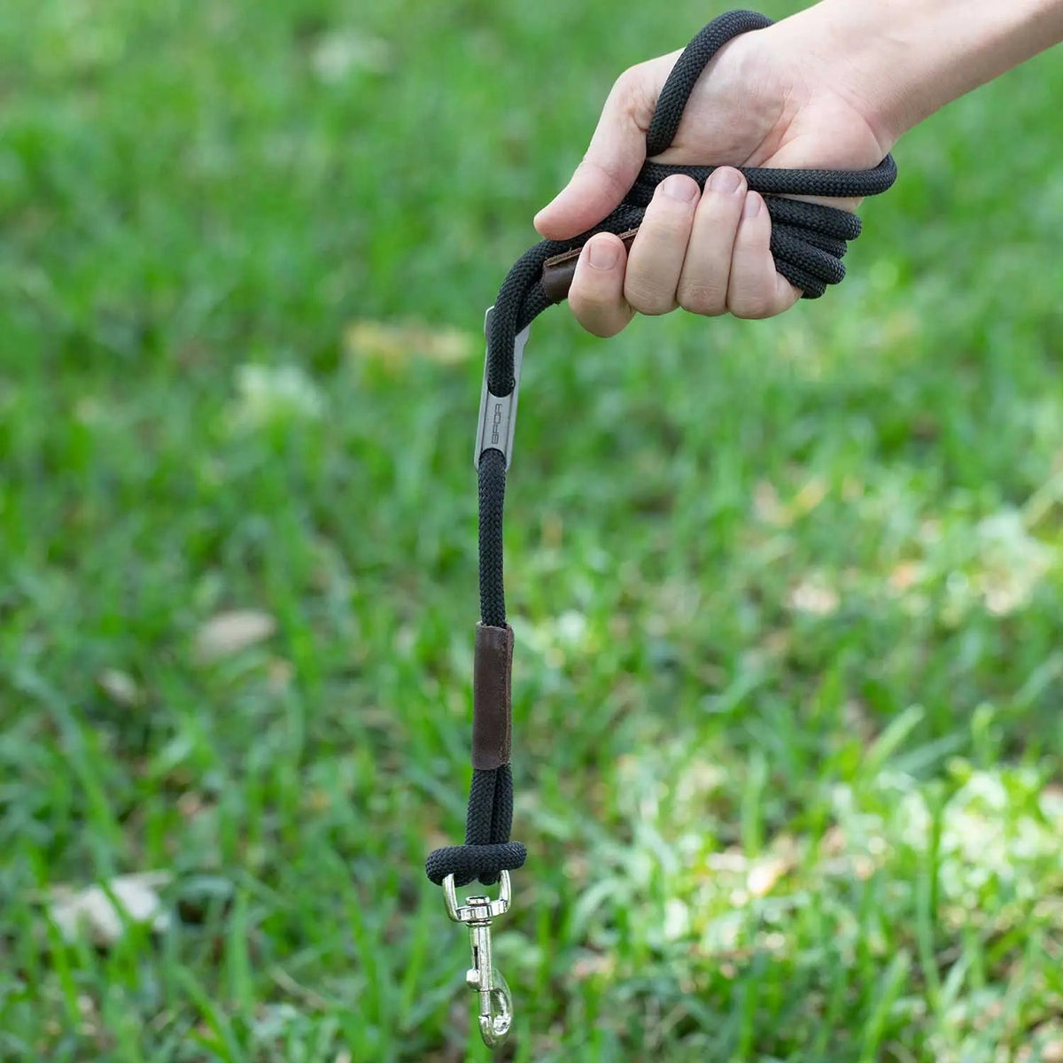 Dog Leash LITE Bundle