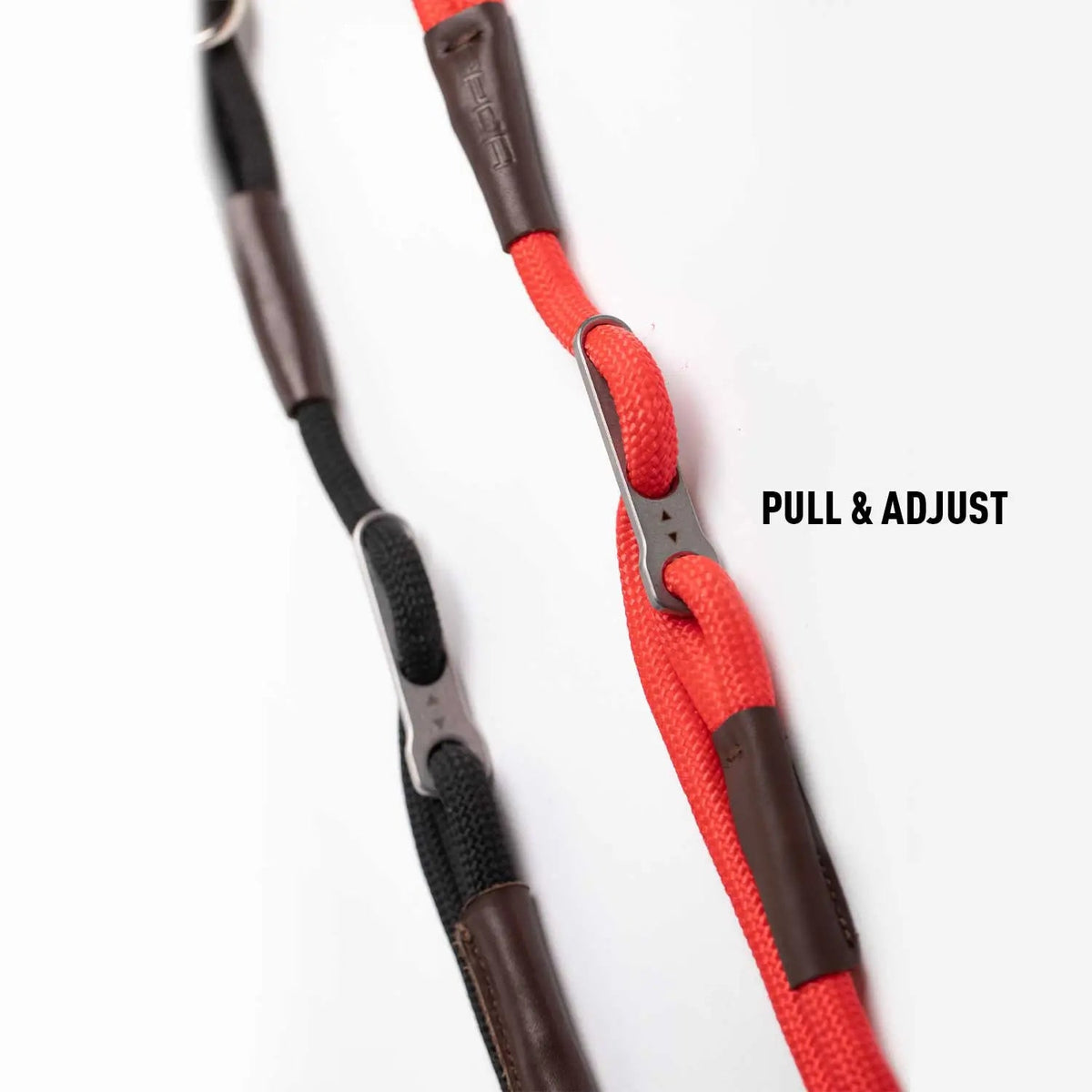 Dog Leash LITE Bundle