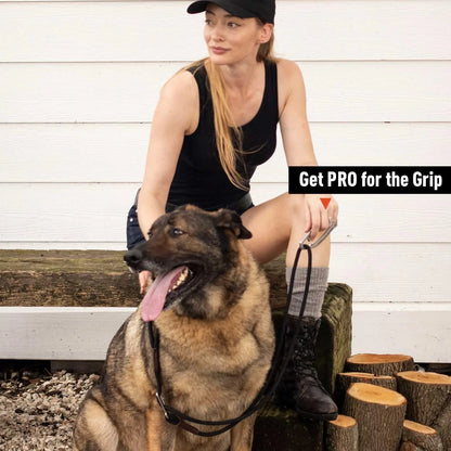 Dog Leash LITE Bundle