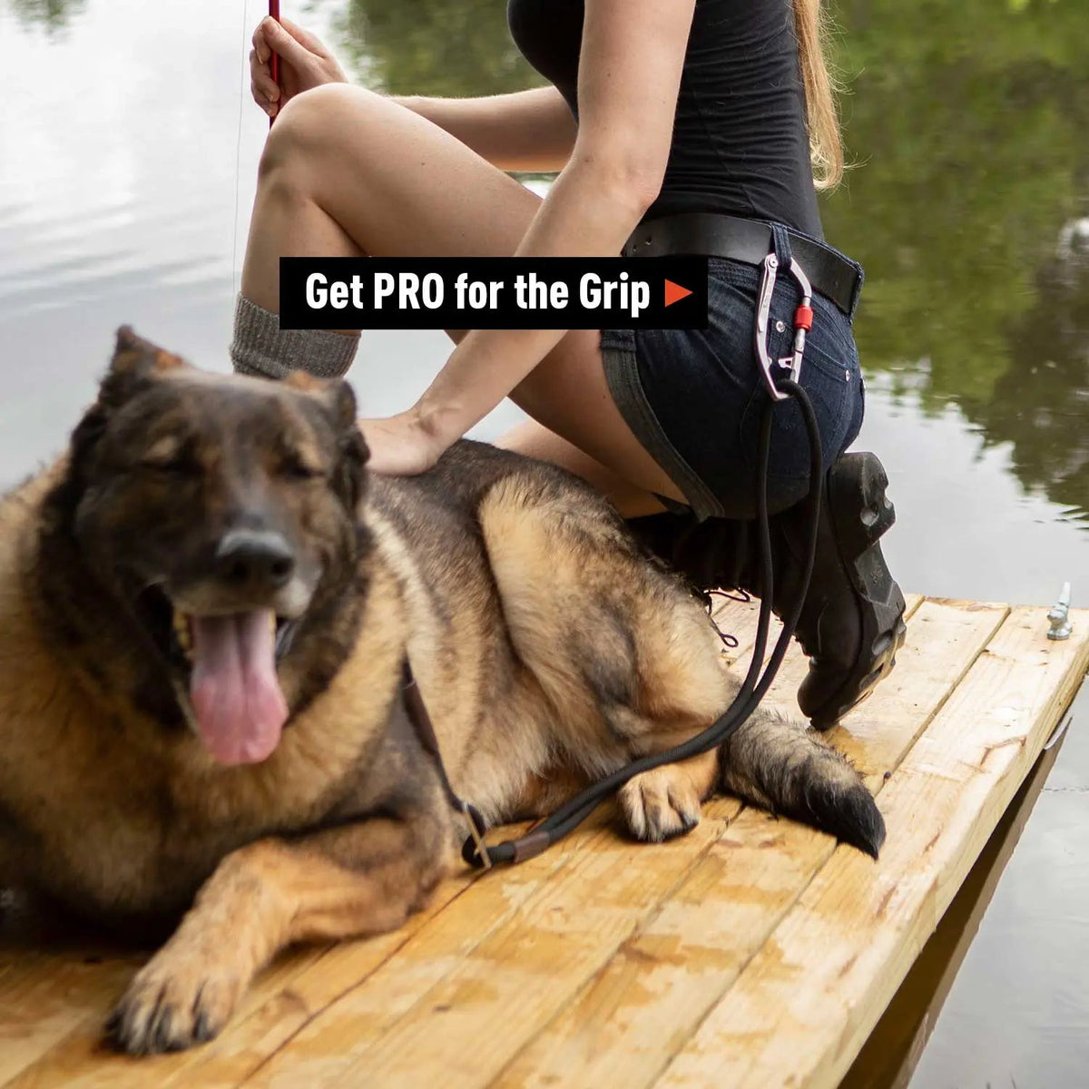 Dog Leash LITE Bundle