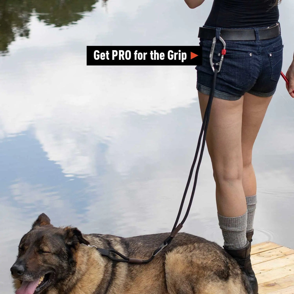 Dog Leash LITE Bundle
