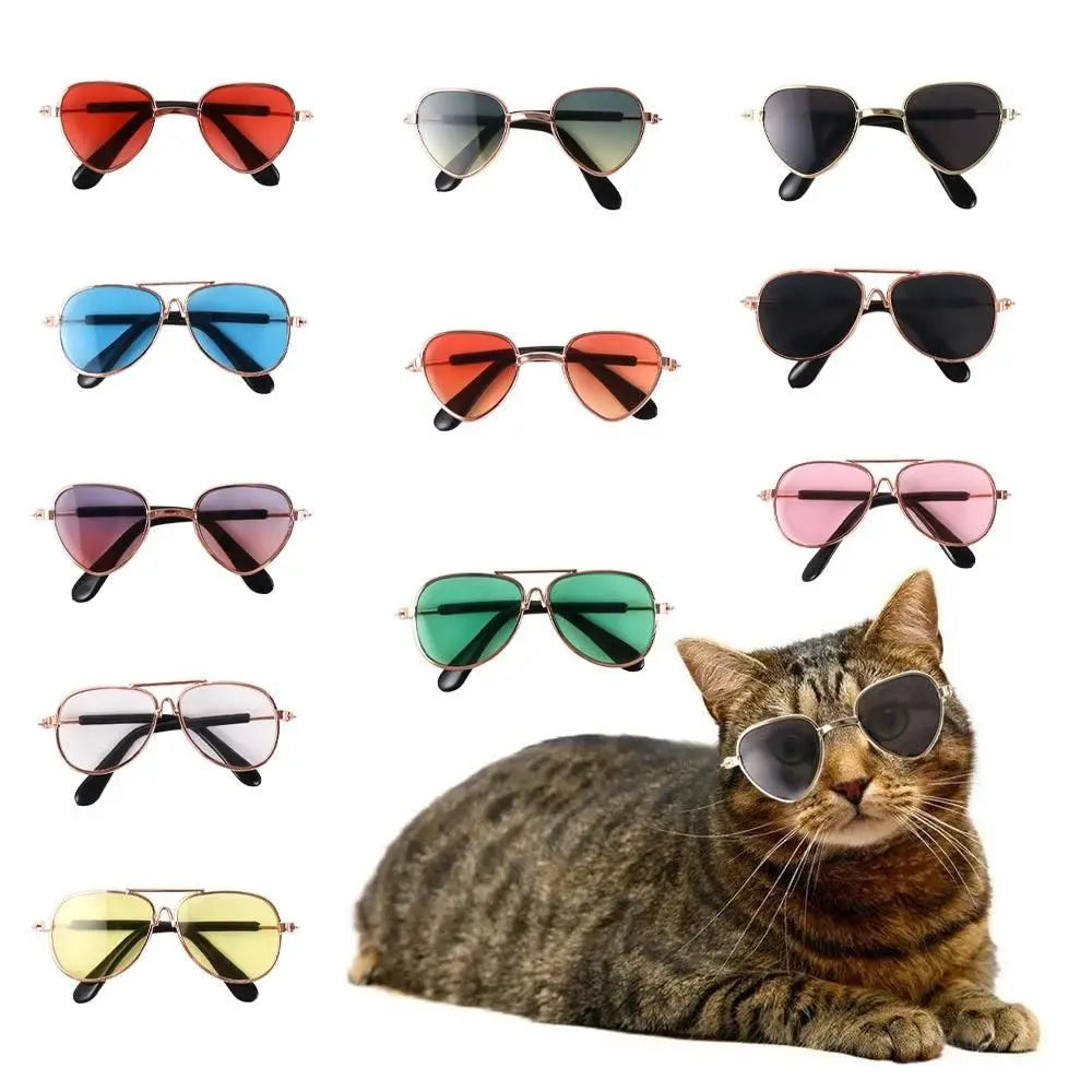 Fashion Cat Dog Sunglasses, Metal Frames