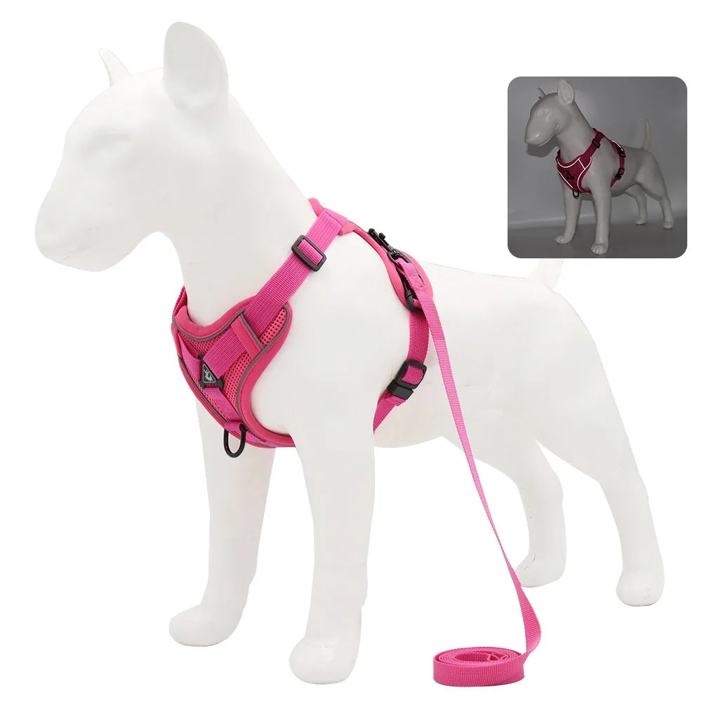Harness Vest and Leash Set Small Dogs