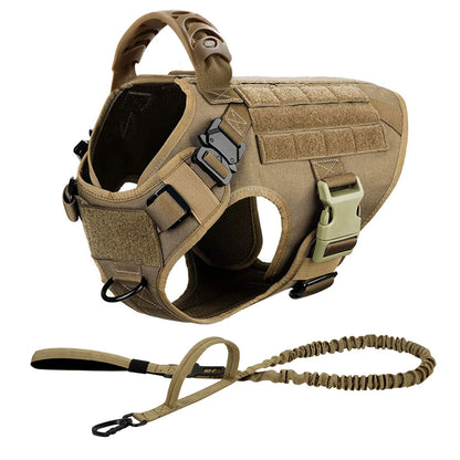 Large, Medium Dog Harness, Collar And Leash Set