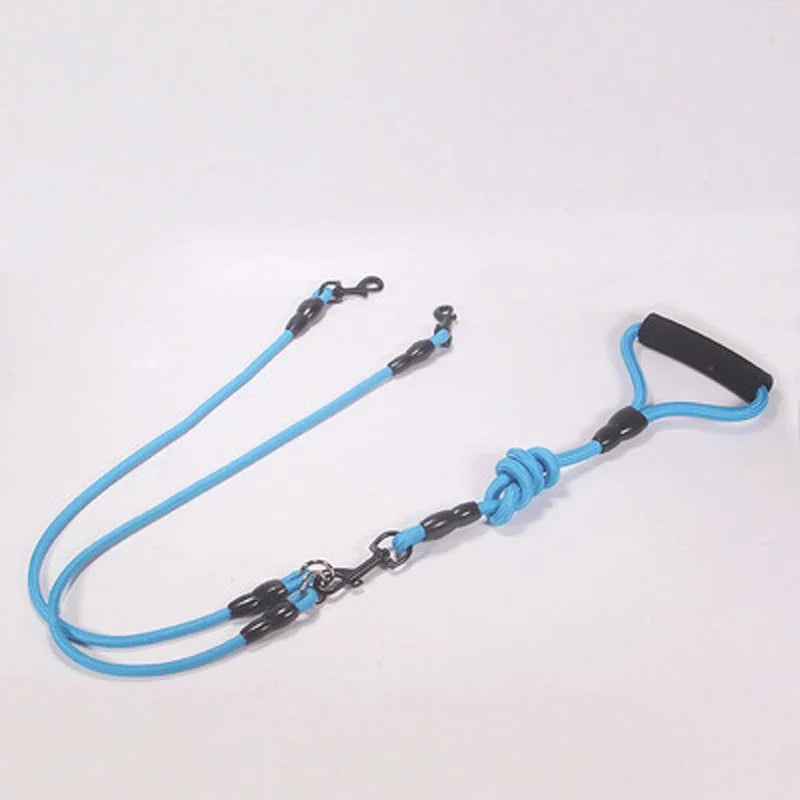 Dog Leash Walk Multi Pets Together