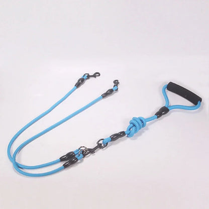 Dog Leash Walk Multi Pets Together