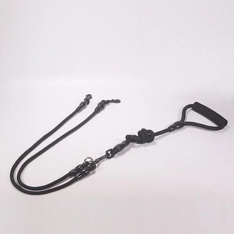 Dog Leash Walk Multi Pets Together